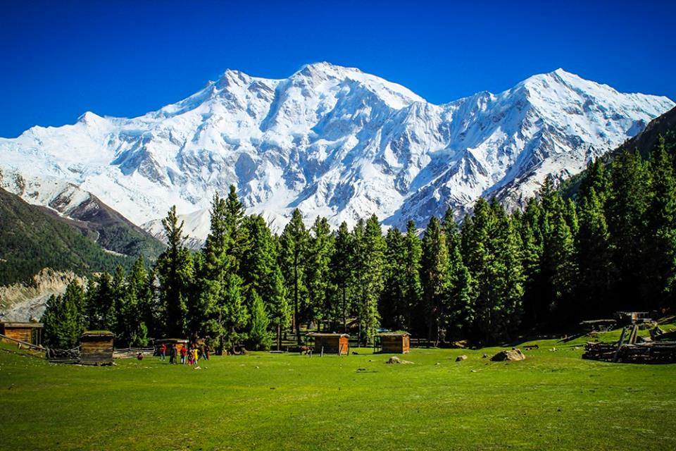 Fairy Meadows alpine meadow